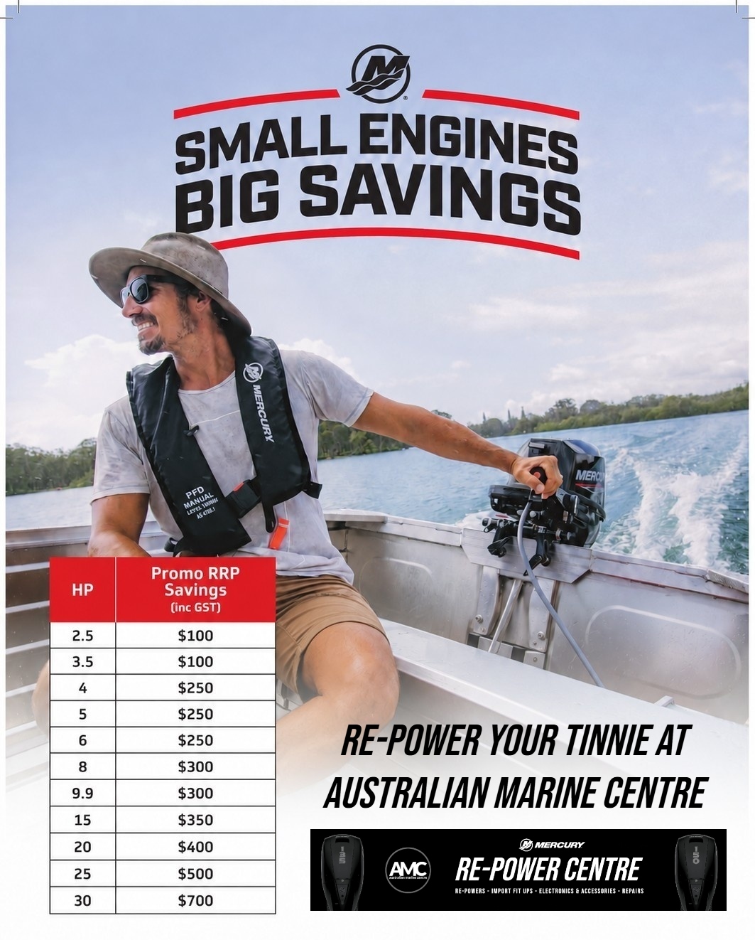 Small Engines Big Savings with Mercury.